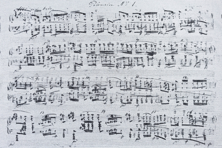 LennyLamb lennylight melody polonaise - nosidło klamrowe regulowane