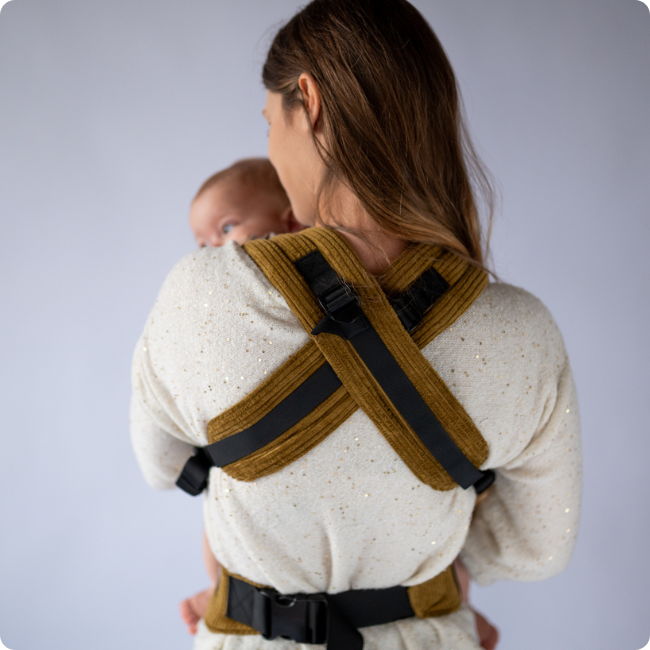 Qusy standard 2.0 velvet umbra - nosidło klamrowe regulowane