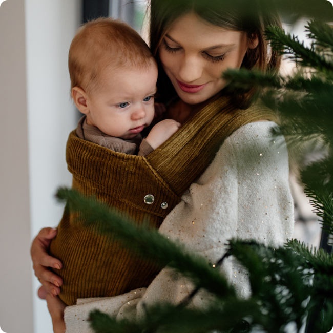 Qusy standard 2.0 velvet umbra - nosidło klamrowe regulowane