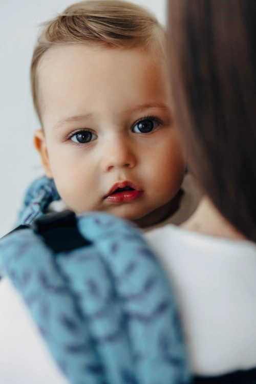 LennyLamb lennyupgrade PRO zaczarowany zakątek fairy - nosidło klamrowe regulowane