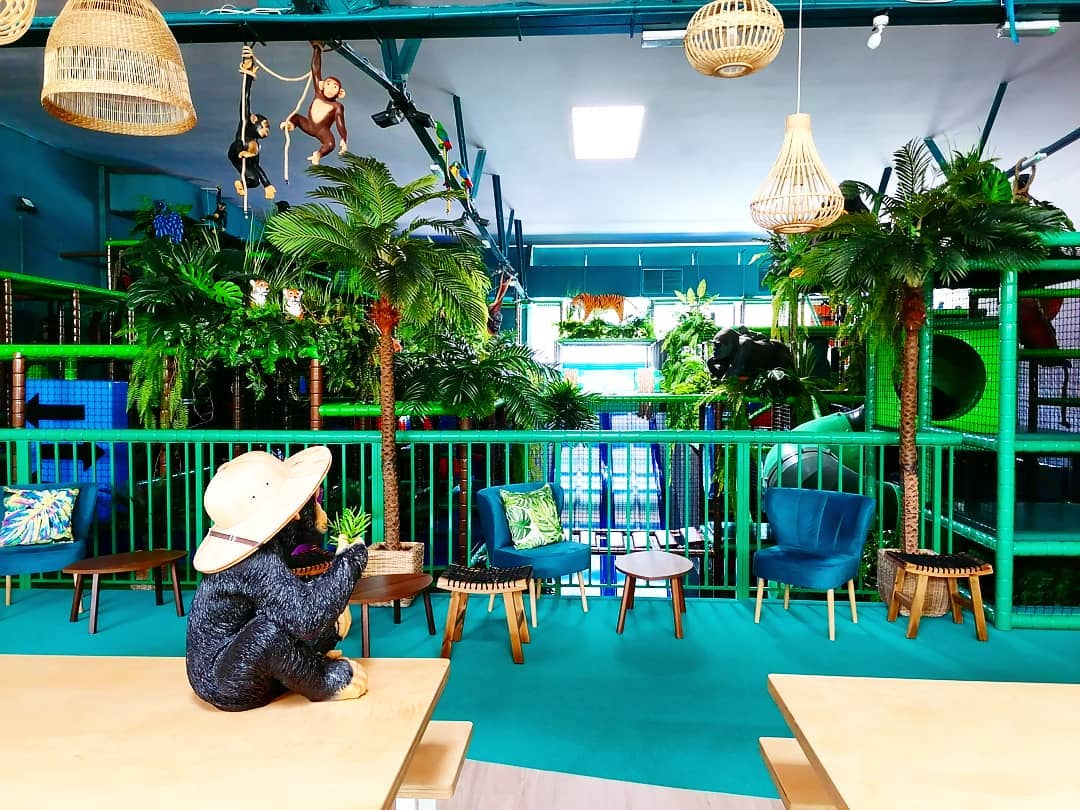 Stylowa sala zabaw Jungle Academy