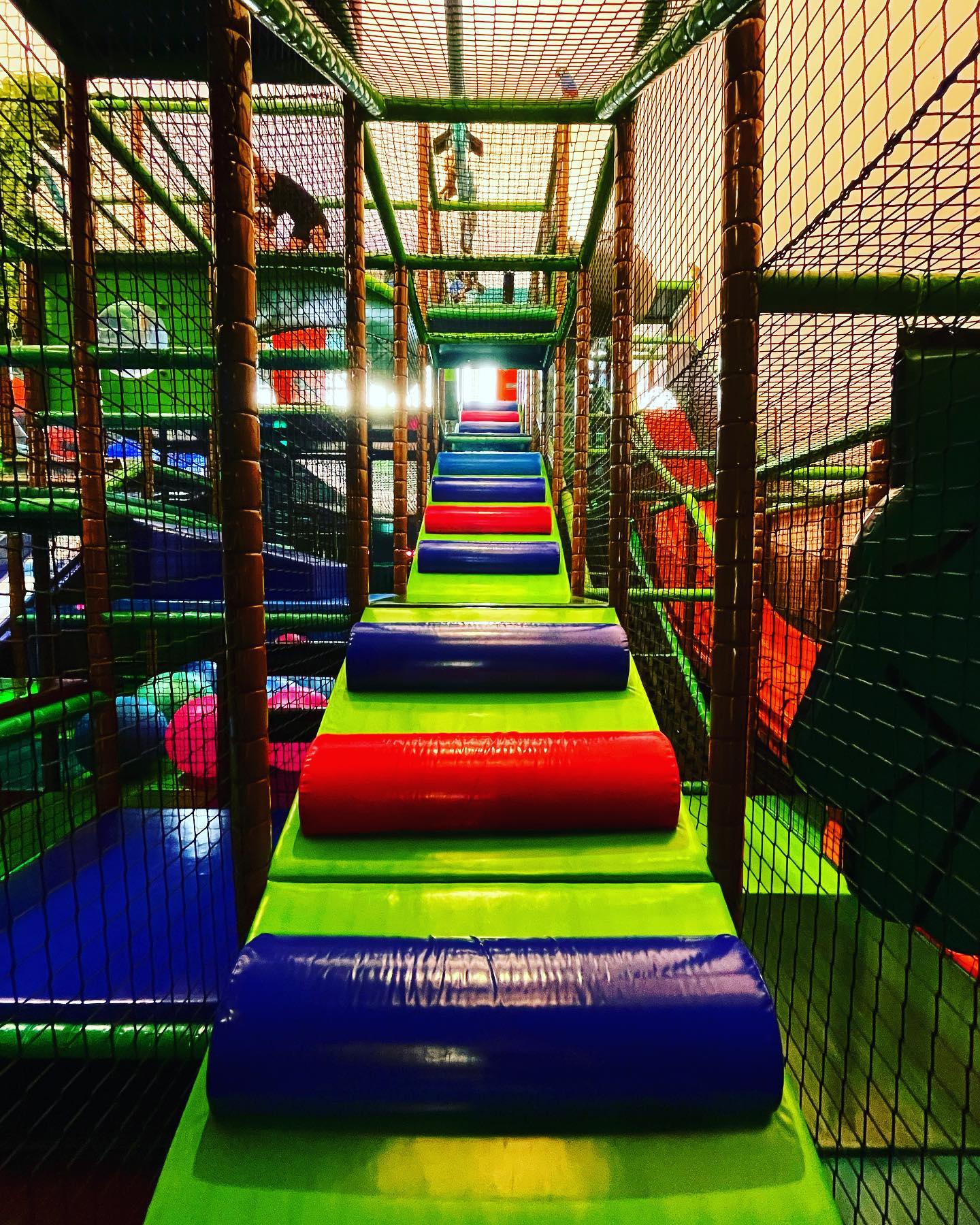 Zabawa w Jungle Academy