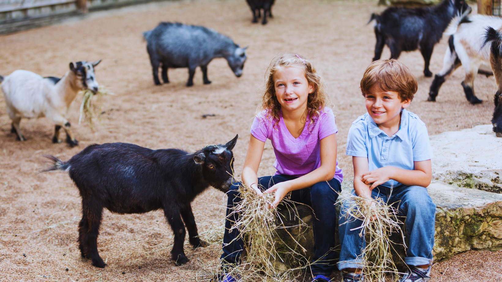 Centrum Zielona Góra