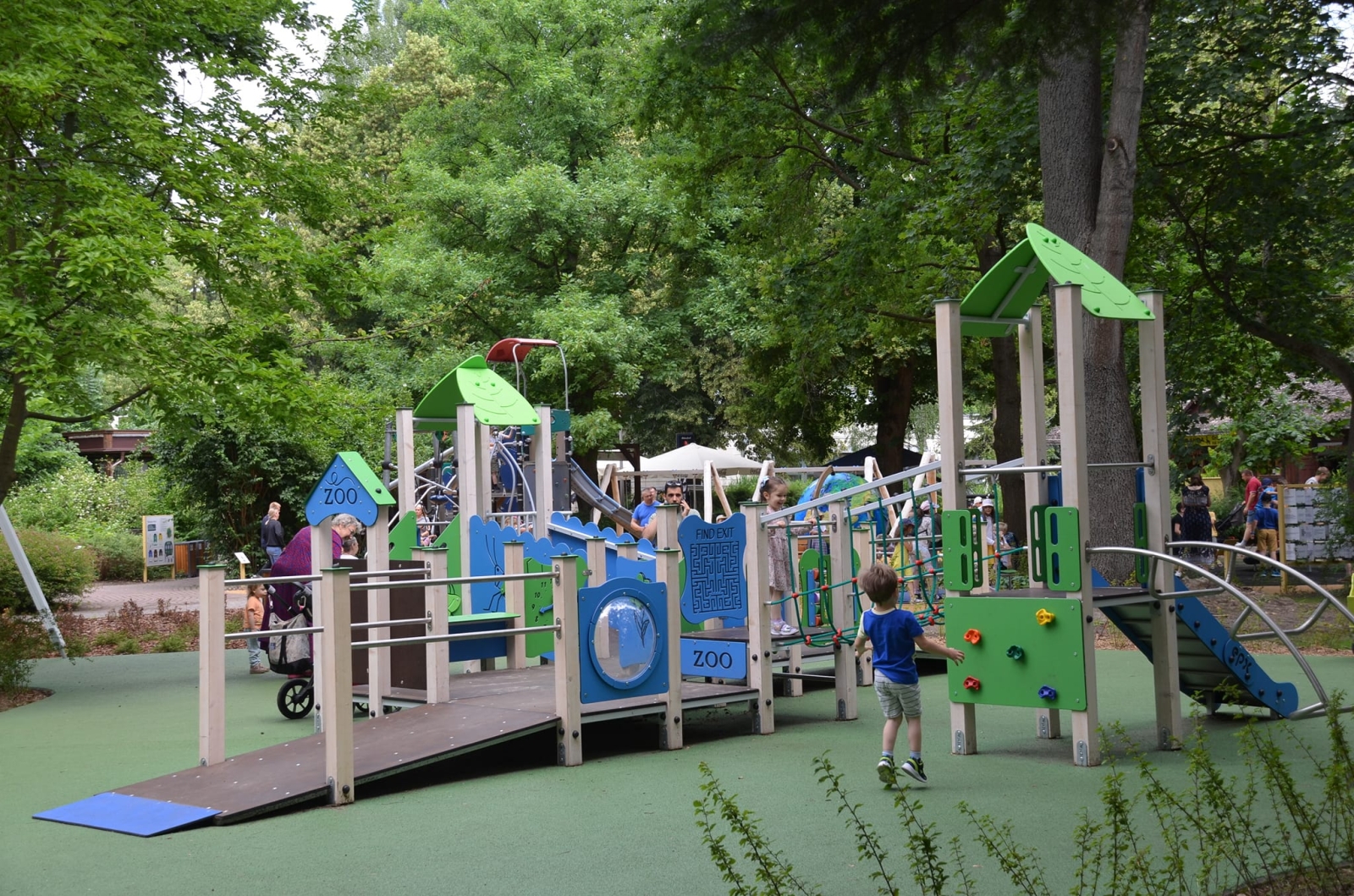 Dziecko obserwujące zwierzęta w warszawskim zoo