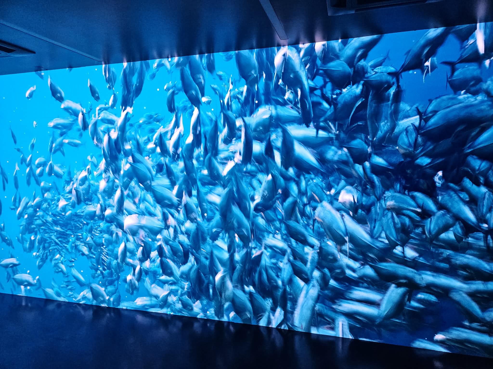 Twórcy Melt Museum Kamila Staszczyszyn i Kuba Matyka